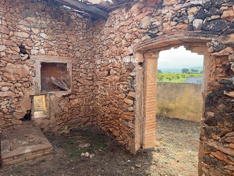 Foto 64362fd6-6d31-4ffd-a847-7b0b2d08c802. Finca rústica a Arboç (L´)