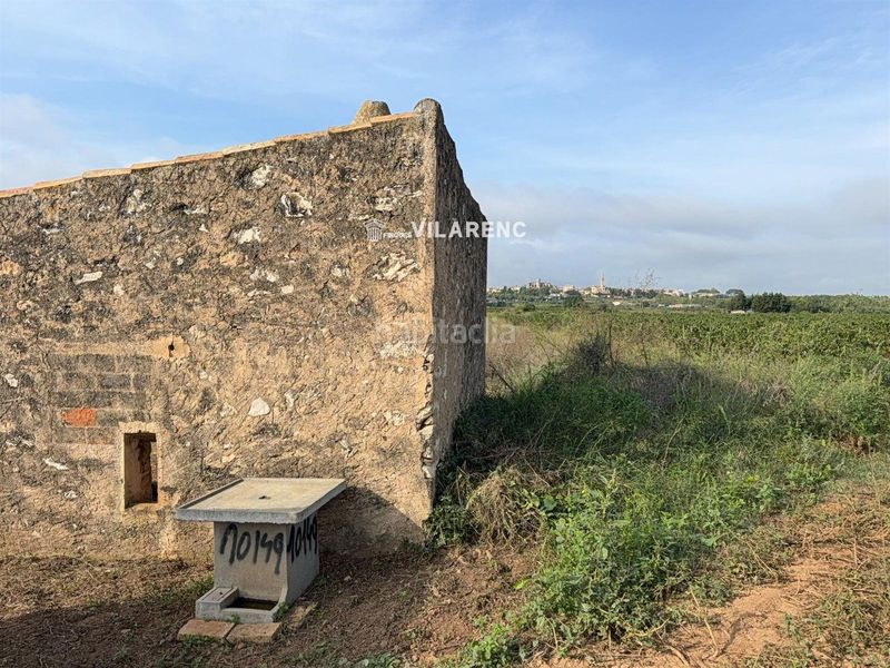 Foto a236359e-d2a4-4ecd-9a8d-d33e9f2120c5. Finca rústica a Arboç (L´)