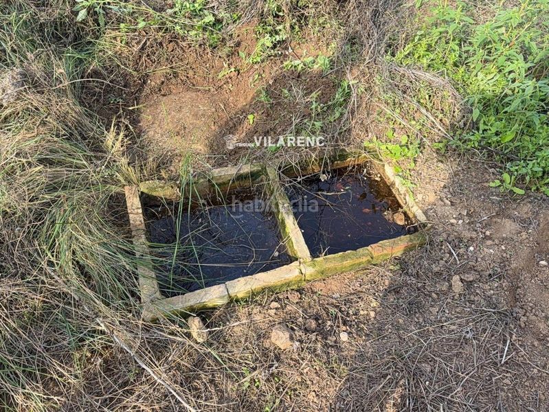 Foto f751778e-c3e6-410e-93e2-2e0d47faf692. Finca rústica a Arboç (L´)