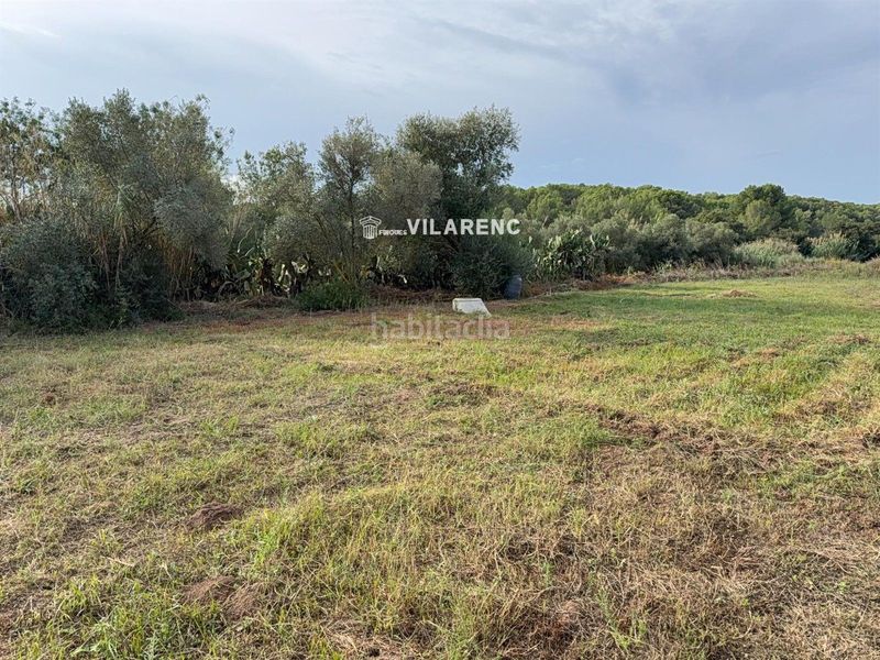 Foto 2af2a5a5-ed51-4edb-a9da-f8c97c842c9c. Finca rústica a Riera de Gaià (La)