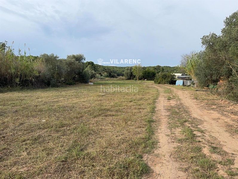 Foto 8ae73789-ad7c-4fa2-a28d-d0cb8e4bc1a2. Finca rústica a Riera de Gaià (La)