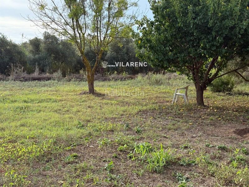 Foto c685c059-461e-452e-8ce9-aab058cbfdc8. Finca rústica a Riera de Gaià (La)