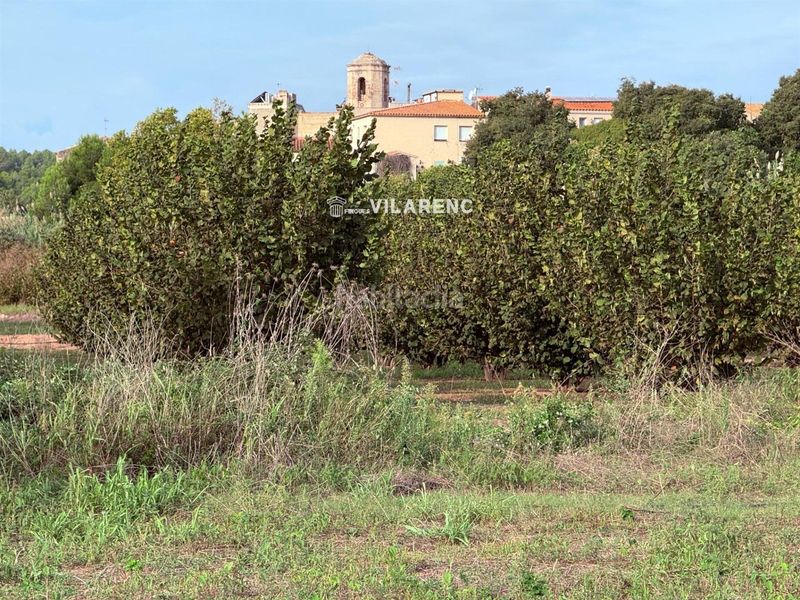 Foto d87a6205-d343-4992-9ae6-f32acb22c280. Finca rústica a Riera de Gaià (La)