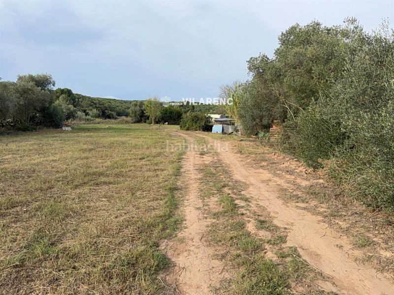 Foto e8d87f70-2cce-4a27-950b-695e514bff13. Finca rústica a Riera de Gaià (La)