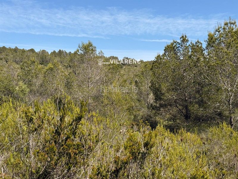 Foto 00fa22ad-73f9-4462-b881-f46cc52801f0. Finca rústica a Vespella de Gaià