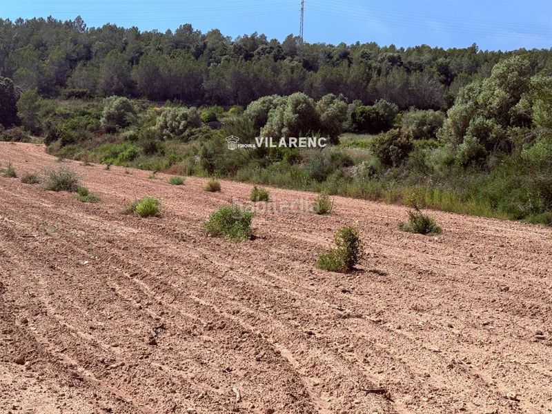 Foto 03ec8d44-ac14-4865-b5a4-09aa5927ad7b. Finca rústica a Vespella de Gaià