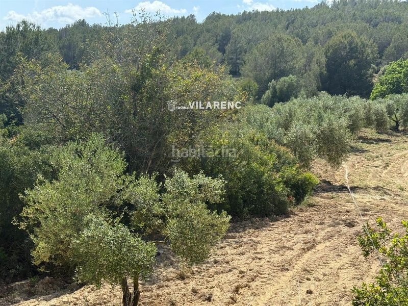 Foto 0fcc1778-416d-45f3-9d58-3fa87c956fc3. Finca rústica a Vespella de Gaià