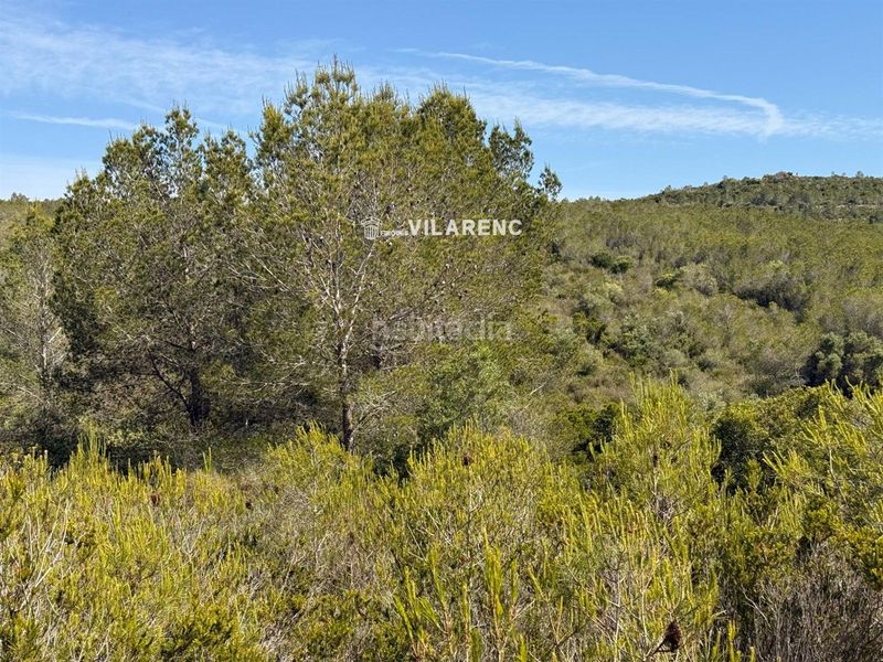 Foto 11f0e88f-8a43-4bb6-9914-427c7306334f. Finca rústica a Vespella de Gaià