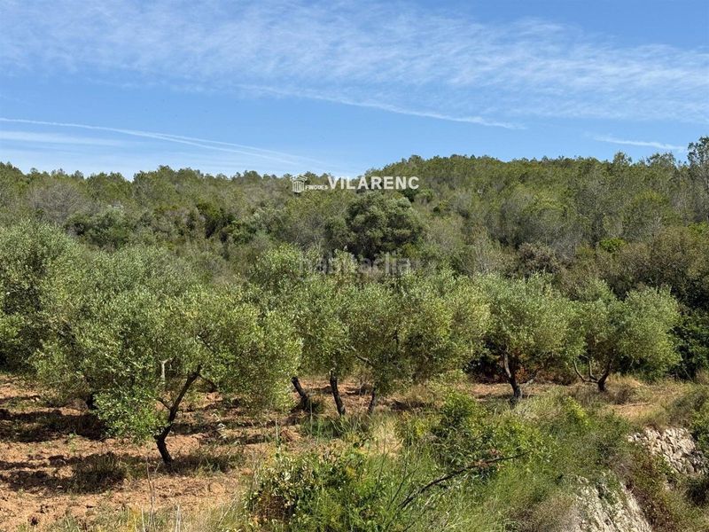 Foto 2943f3dd-9a93-43a4-a4ba-a2c5400bd2ee. Finca rústica a Vespella de Gaià