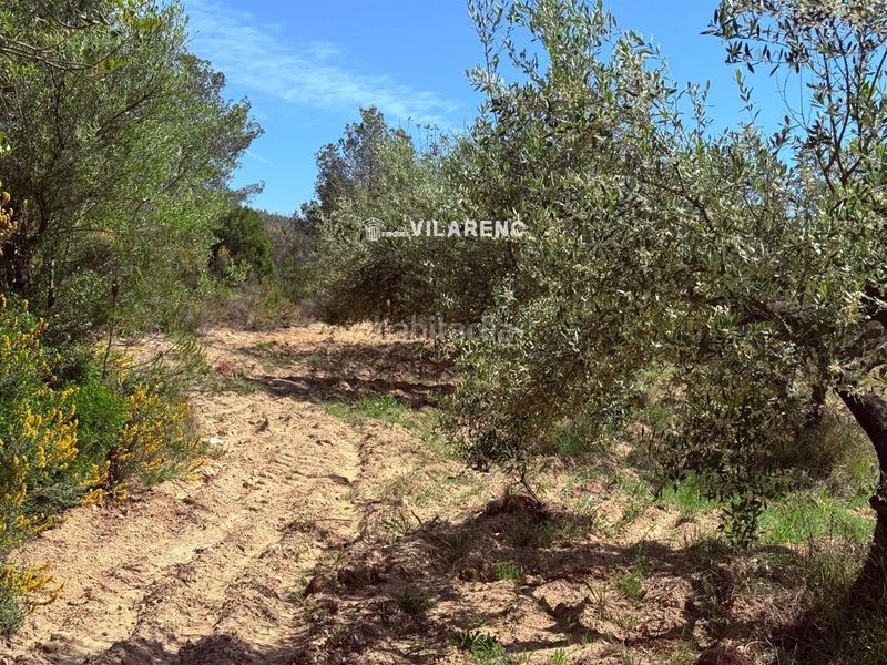 Foto 456dafb7-a991-4371-9ec8-f944461b8333. Finca rústica a Vespella de Gaià