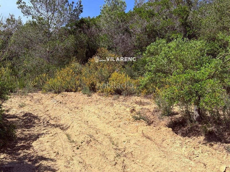 Foto 598ecfe5-9970-4486-a10b-db3421dbd357. Finca rústica a Vespella de Gaià