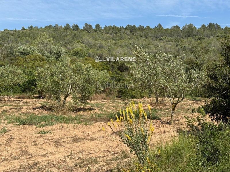 Foto 67889aeb-5f70-41ea-a492-b34a92329e28. Finca rústica a Vespella de Gaià