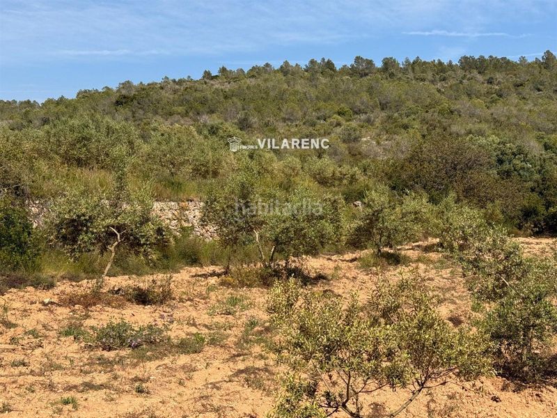 Foto 6b84d0f0-8301-41d0-bb30-de60d9f4a490. Finca rústica a Vespella de Gaià