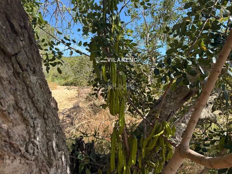 Foto 71524779-d8f6-4fdf-ae67-c71767afdf15. Finca rústica a Vespella de Gaià