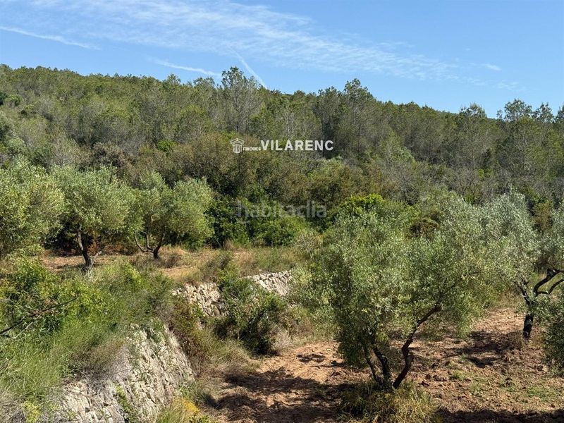 Foto 77524090-55b2-468e-88d0-b8d3f30a17cc. Finca rústica a Vespella de Gaià