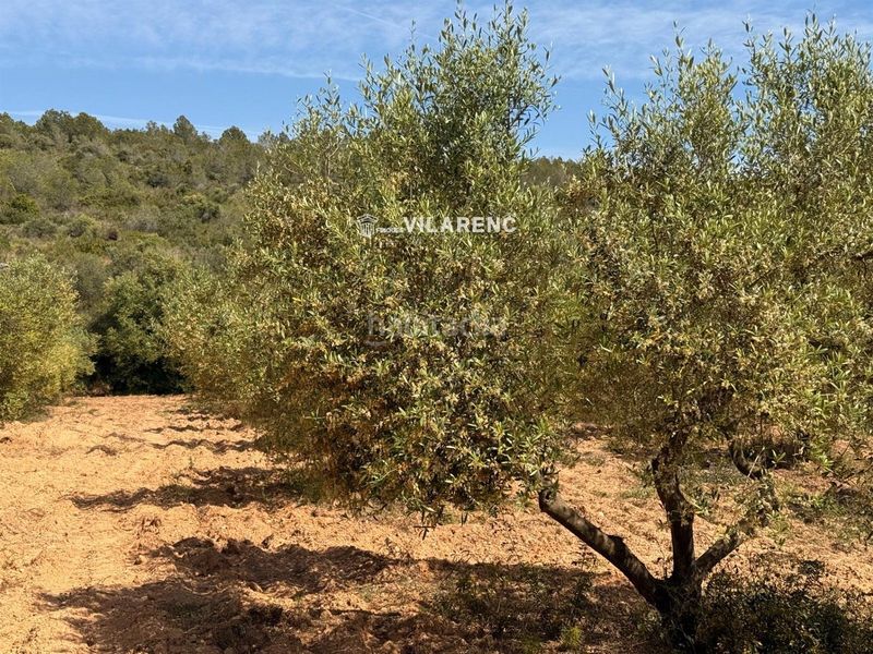 Foto b27d2aeb-0800-4e37-a6c7-5c4242485057. Finca rústica a Vespella de Gaià