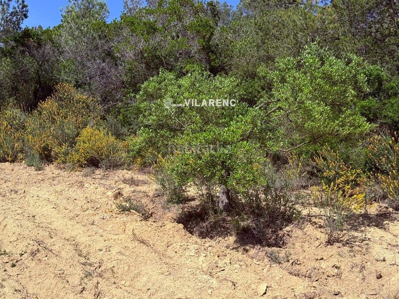 Foto b6a5b484-16f0-4a64-b658-007b70917e97. Finca rústica a Vespella de Gaià