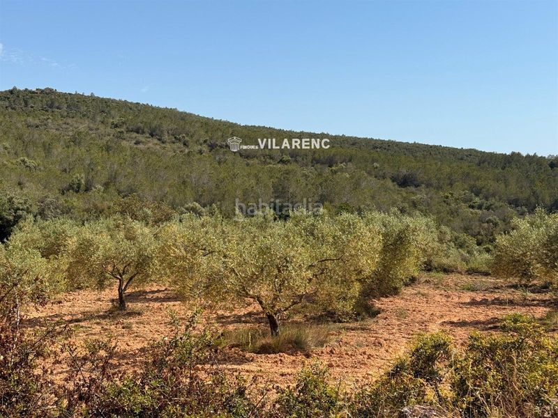 Foto be049fa8-23a4-4a1c-a028-3ca7ad6afdbc. Finca rústica a Vespella de Gaià