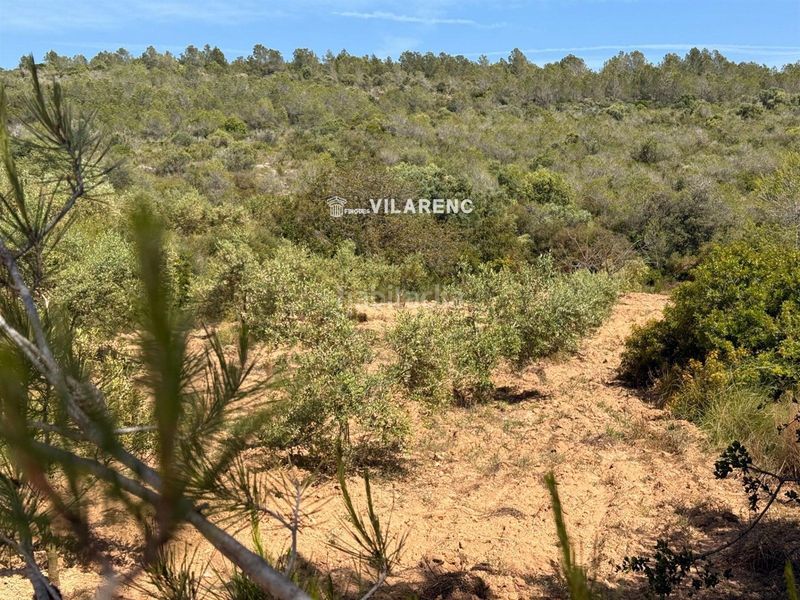 Foto c75ae4c8-b147-4cc3-aba4-39288331dd18. Finca rústica a Vespella de Gaià