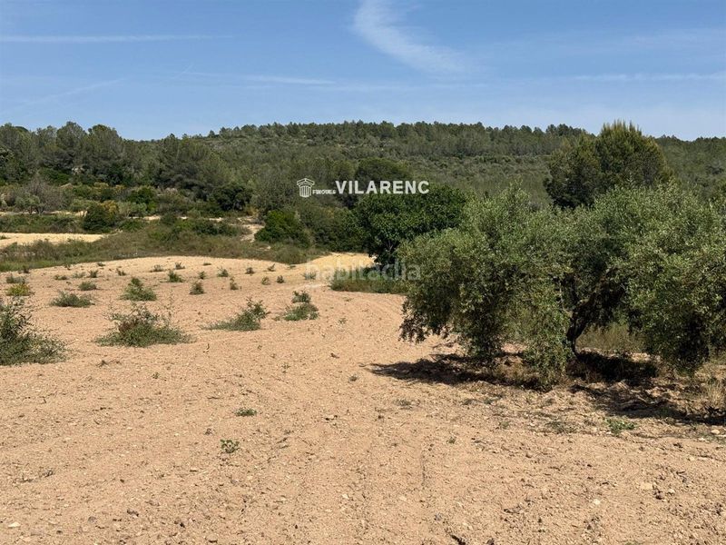 Foto c8c2fde1-fcbd-453f-bc45-95d81894a399. Finca rústica a Vespella de Gaià