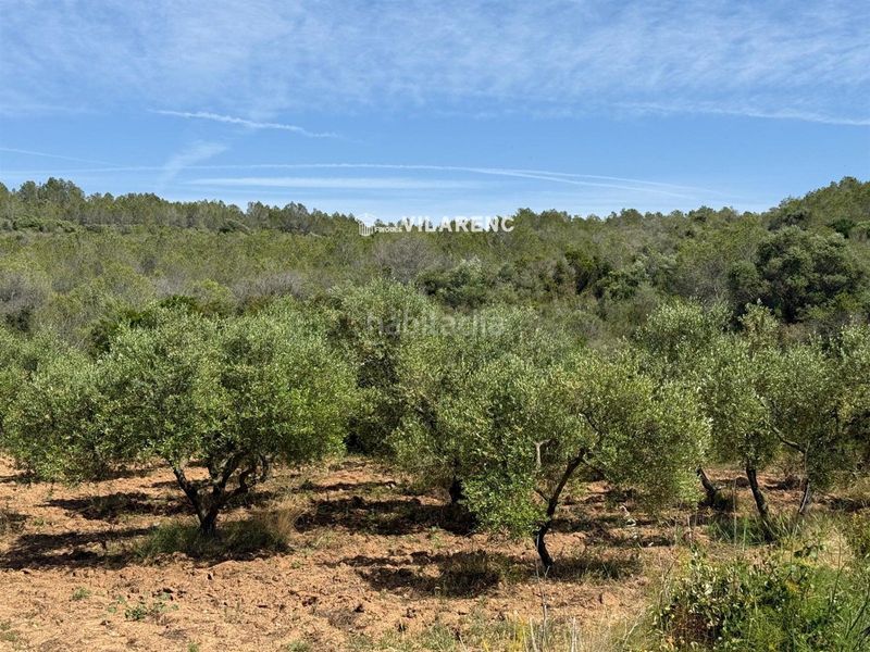 Foto d4d9dfe1-b5d2-4410-8d66-3f7de8a4c371. Finca rústica a Vespella de Gaià