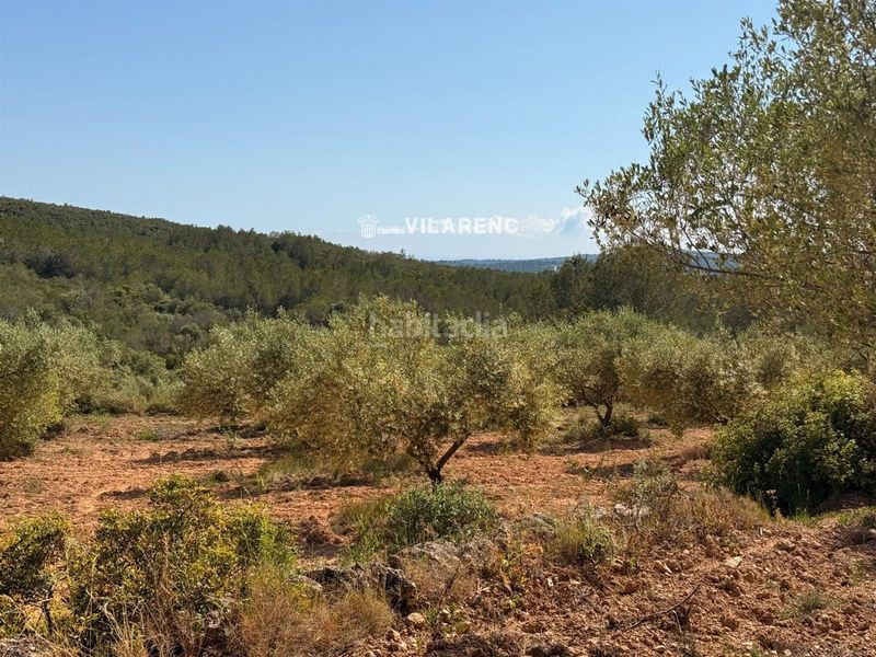 Foto e619c13a-b13b-4790-8b39-c3e84879a52f. Finca rústica a Vespella de Gaià