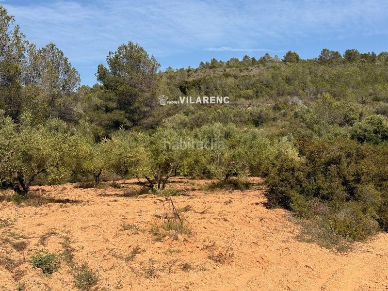 Foto ea2f7b93-f2c4-4c16-9cb5-f1b29c1abe5a. Finca rústica a Vespella de Gaià