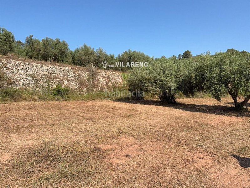 Foto 0991b5fc-5ff2-4017-8fd2-486cda992abb. Finca rústica a Pobla de Montornès (La)