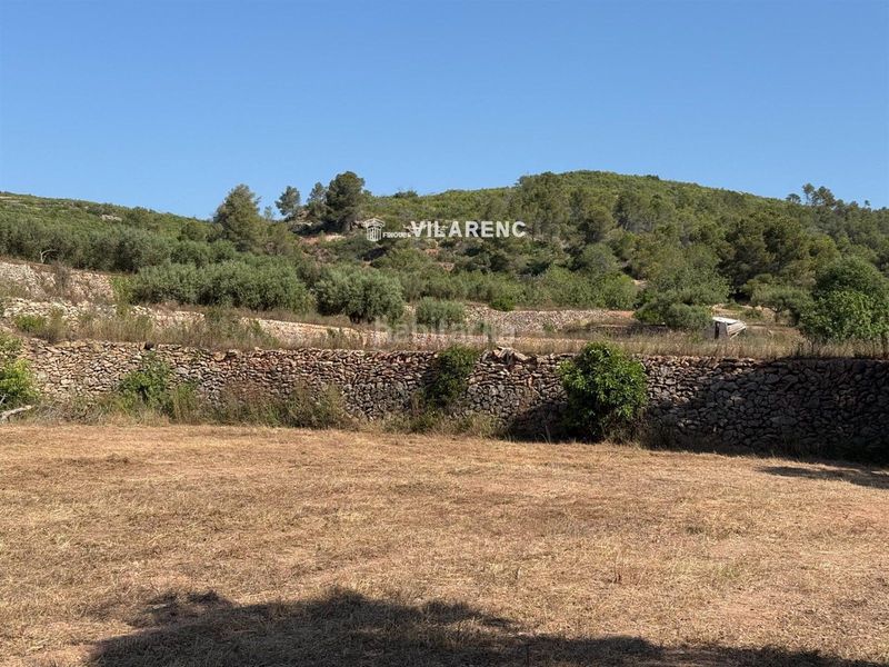 Foto 28934498-b914-4e32-9f0f-d57b6dd11258. Finca rústica a Pobla de Montornès (La)