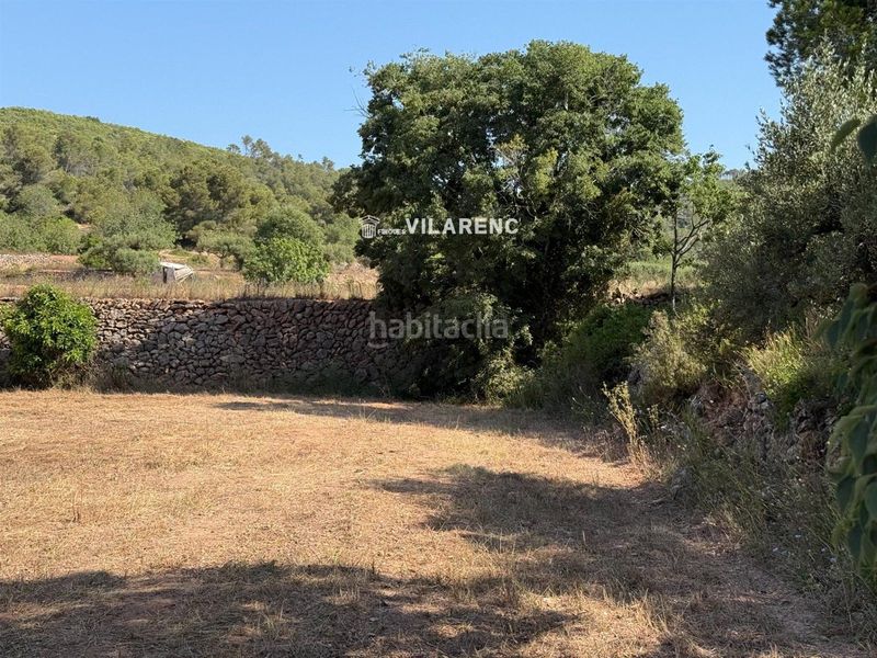 Foto 2cbff739-7339-4b41-95b2-6d382f51ef23. Finca rústica a Pobla de Montornès (La)