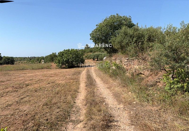 Foto 451ab37d-25dc-4a72-8f89-6e81e7d66769. Finca rústica a Pobla de Montornès (La)