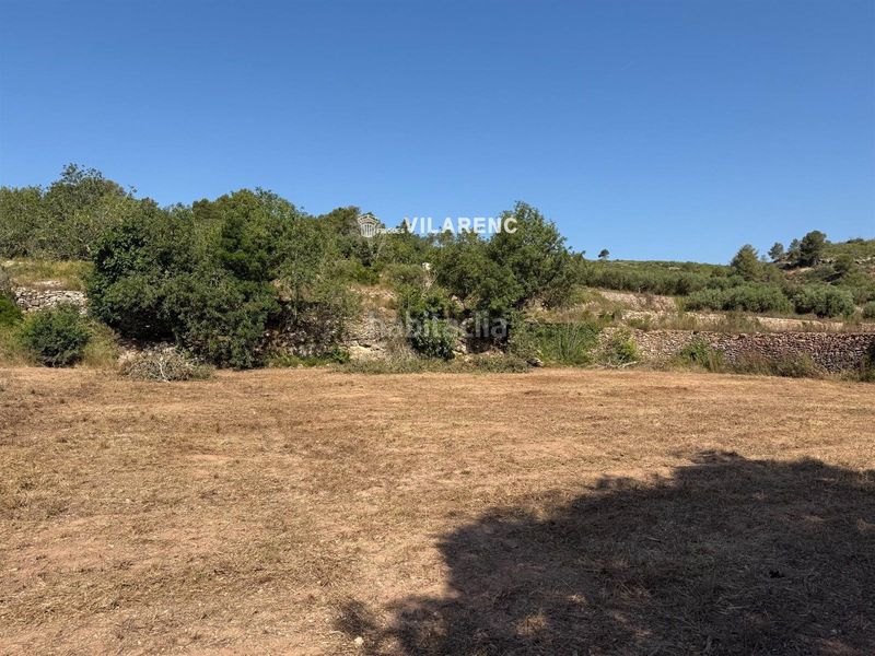 Foto 5722a28f-fcd3-4b3c-8a0b-2cd58840a1c4. Finca rústica a Pobla de Montornès (La)