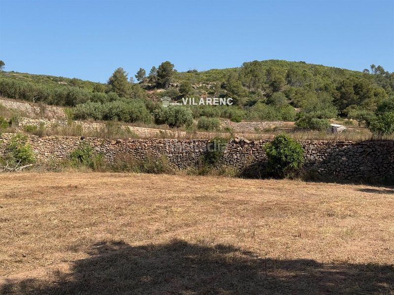 Foto 58e64229-0ca9-463d-9b72-14b2675e3e85. Finca rústica a Pobla de Montornès (La)