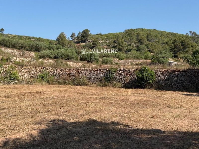 Foto a90c02bb-55c6-46ad-bc4d-98ba54addb0b. Finca rústica a Pobla de Montornès (La)