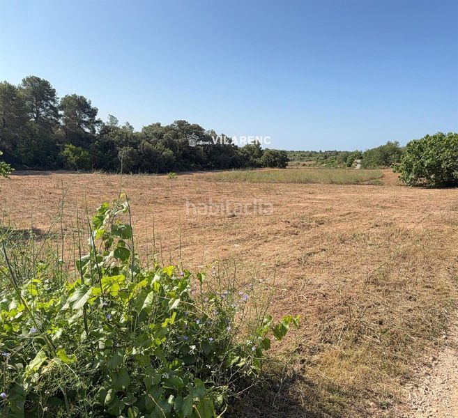 Foto e9c6f14c-1bbf-4da1-932d-897995687862. Finca rústica a Pobla de Montornès (La)