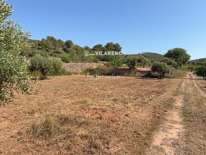 Foto eb770f41-3377-478f-94ec-446d379f410a. Finca rústica a Pobla de Montornès (La)