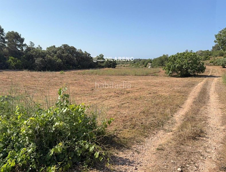 Foto f31f8ae7-3b1d-4f89-81c2-72a5d08a6ec0. Finca rústica a Pobla de Montornès (La)