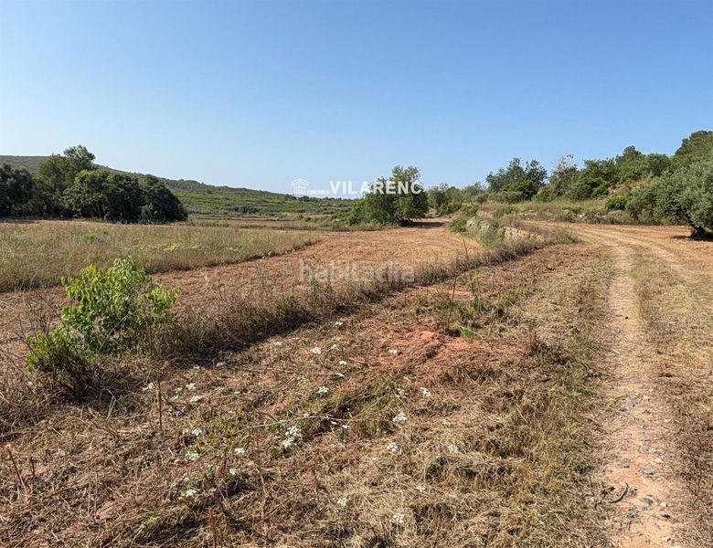 Foto f77dbbb0-e2f0-4095-ac3f-117fb29e37f5. Finca rústica a Pobla de Montornès (La)