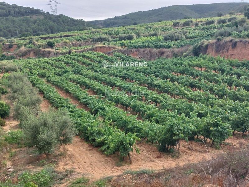 Foto abeaed87-6934-4f4b-b5b8-d90447fcb64f. Finca rústica a Albinyana