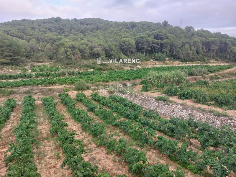 Foto bb6a1cec-2e8d-48e4-938a-cde5270dc32e. Finca rústica a Albinyana
