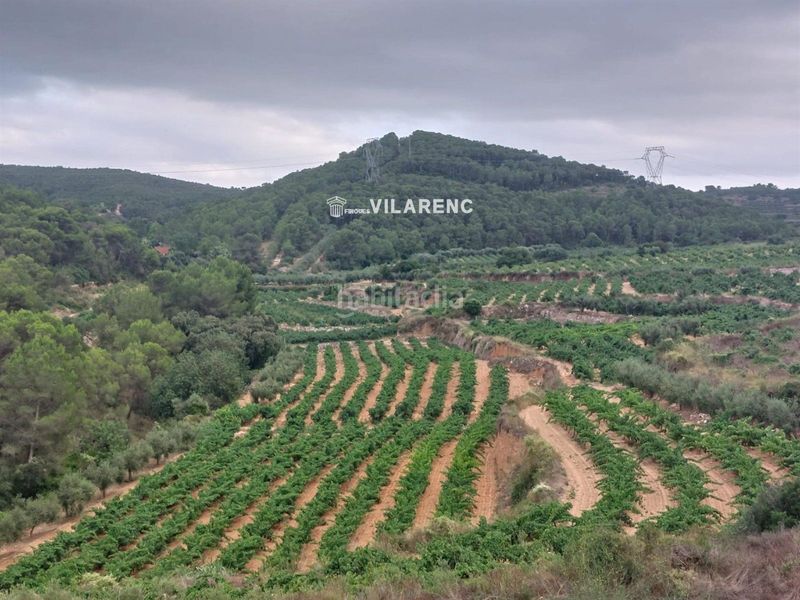 Foto d75fd329-4b60-41bc-a428-8aebe5664b65. Finca rústica a Albinyana