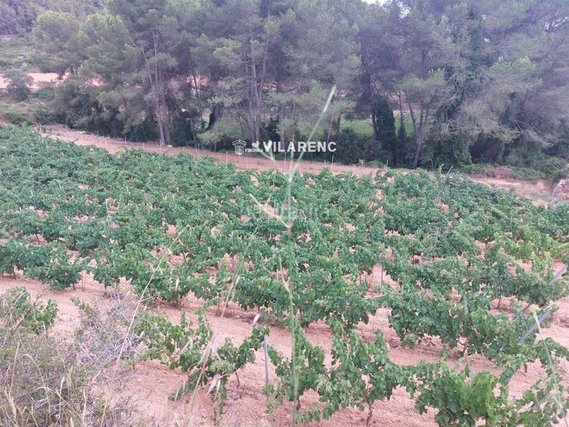 Foto ff23c6d9-fa45-420e-9ab3-4960447b223e. Finca rústica a Albinyana