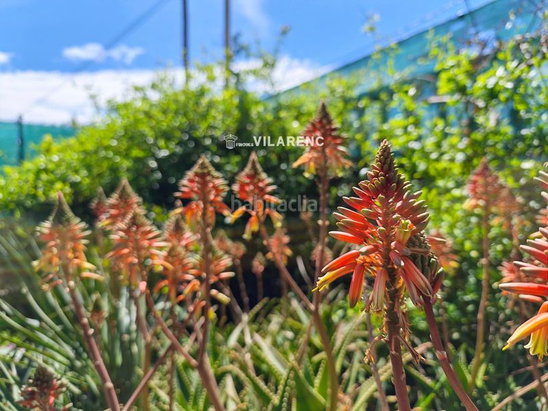 Foto 432e8ae3-2830-4a4c-8d59-9634679921c7. Xalet amb calefacció aparcament piscina a Bellvei