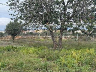 Finca rústica  Santa oliva a bellvei. Finca rústica en santa oliva, en pleno corazón del baix penedès