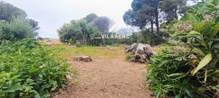 Finca rústica a SAL