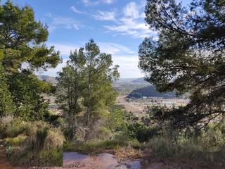 Terrain résidentiel à Gilet. Venta de interesante terreno en la urbanización balcón de la peñ