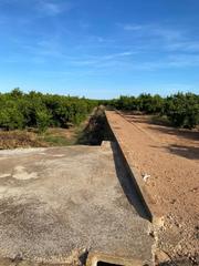 Finca rústica  Diseminado poligon 26. Venta de terreno rústico en plena producción agrícola.