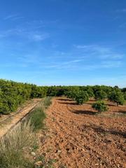 Finca rústica  Diseminado poligon 26. Venta de terreno rústico en plena producción agrícola.