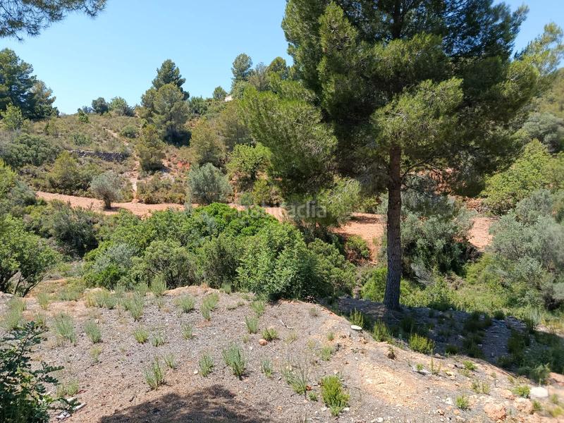 Foto 21a1d7c1-180a-476a-9965-ea0a4f22fc6b. Terrain résidentiel dans Alborache