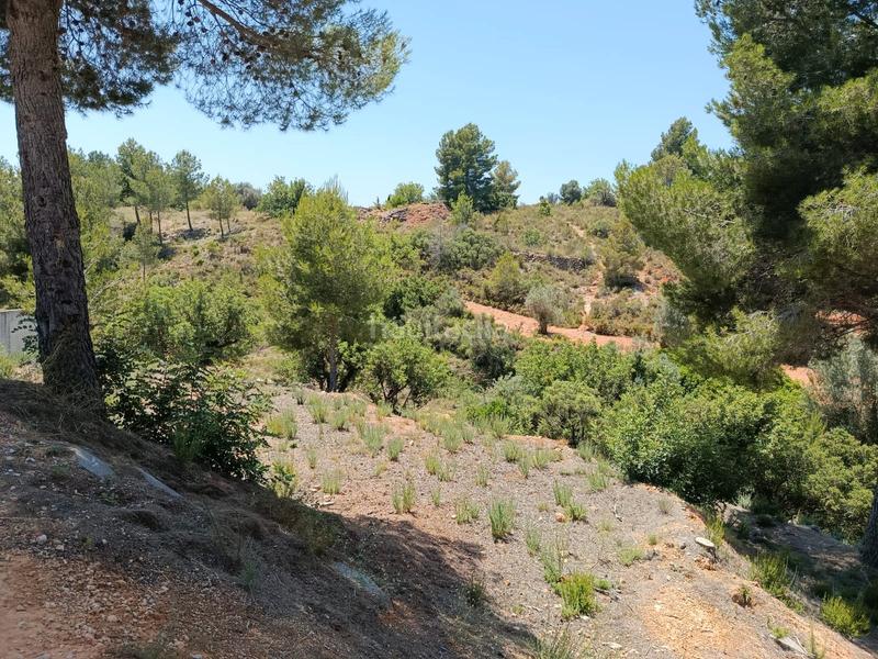 Foto 2e7735ee-fd47-42f7-bbe5-6626857a5bc0. Terrain résidentiel dans Alborache